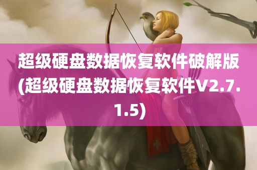 超级硬盘数据恢复软件破解版(超级硬盘数据恢复软件V2.7.1.5)