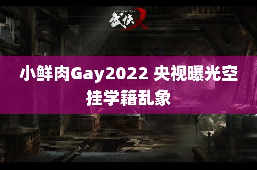 小鲜肉Gay2022 央视曝光空挂学籍乱象