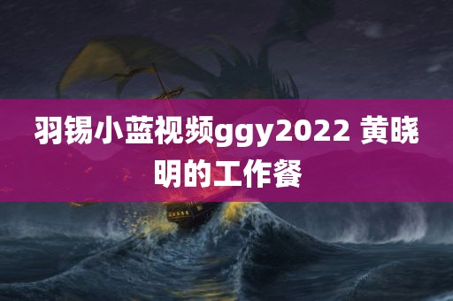 羽锡小蓝视频ggy2022 黄晓明的工作餐