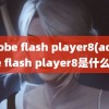 adobe flash player8(adobe flash player8是什么)