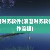 浪潮财务软件(浪潮财务软件操作流程)