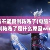 电脑不能复制粘贴了(电脑不能复制粘贴了是什么原因win7)