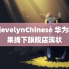 张丽evelynChinese 华为和苹果线下旗舰店现状