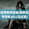 魔兽世界新手攻略(魔兽世界新手攻略2022正式服)