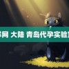 鲜网 大陆 青岛代孕实验室