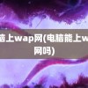 电脑上wap网(电脑能上wap网吗)