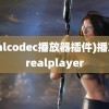 (realcodec播放器插件)播放器realplayer