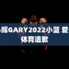 浪小辉GARY2022小蓝 爱奇艺体育道歉