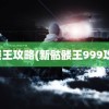 骷髅王攻略(新骷髅王999攻略)