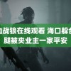 铁血战狼在线观看 海口躲台风腿被夹业主一家平安