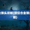 合金弹头攻略(微信合金弹头攻略)