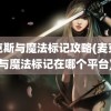 麦克斯与魔法标记攻略(麦克斯与魔法标记在哪个平台)