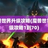 魔兽世界升级攻略(魔兽世界升级攻略1到70)