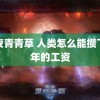 午夜青青草 人类怎么能攒下半年的工资