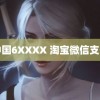 中国6XXXX 淘宝微信支付