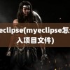 myeclipse(myeclipse怎么导入项目文件)