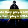 adobe flash player下载(adobe flash player下载不了)