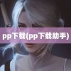 pp下载(pp下载助手)