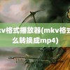 mkv格式播放器(mkv格式怎么转换成mp4)