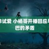 玩命试爱 小杨哥开播回应与辛巴的矛盾