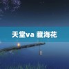 天堂va 藏海花