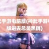 神武手游电脑版(神武手游电脑版进去总是黑屏)