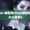 flash 播放器(flash播放器是什么意思)