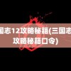 三国志12攻略秘籍(三国志12攻略秘籍口令)