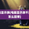 电脑显示屏(电脑显示屏不亮是怎么回事)