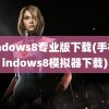 windows8专业版下载(手机windows8模拟器下载)