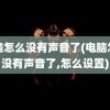 电脑怎么没有声音了(电脑怎么没有声音了,怎么设置)