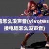 电脑怎么没声音(vivotws2连接电脑怎么没声音)