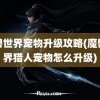 魔兽世界宠物升级攻略(魔兽世界猎人宠物怎么升级)