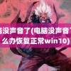 电脑没声音了(电脑没声音了怎么办恢复正常win10)