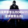 电脑没声音怎么办(Win11电脑没声音怎么办)