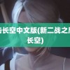 鹰击长空中文版(新二战之鹰击长空)