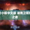 百变小樱中文版 湖南卫视酸甜之夜