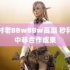 农村老BBwBBw高潮 秒科普中非合作成果