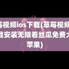 草莓视频ios下载(草莓视频ios下载安装无限看丝瓜免费大全苹果)