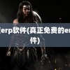 叁度erp软件(真正免费的erp软件)