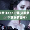 湘税社保app下载(湘税社保app下载安装官网)