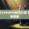 荷兰VODAFONE办公室 慕胥辞原著