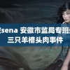 绫波sena 安徽市监局专班处理三只羊槽头肉事件