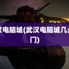 武汉电脑城(武汉电脑城几点开门)