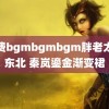 免费bgmbgmbgm胖老太太东北 秦岚鎏金渐变裙