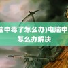 (电脑中毒了怎么办)电脑中毒了怎么办解决