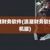 浪潮财务软件(浪潮财务软件单机版)