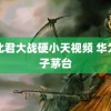 西北君大战硬小天视频 华为电子茅台