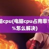 电脑cpu(电脑cpu占用率100%怎么解决)