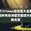 蜜芽737mon忘忧草大豆网 中国同所有非洲建交国提升到战略关系